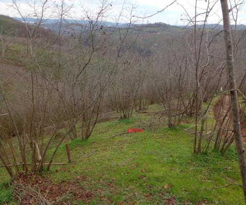 Sakarya Karasu Satılık Tarla — foto 3