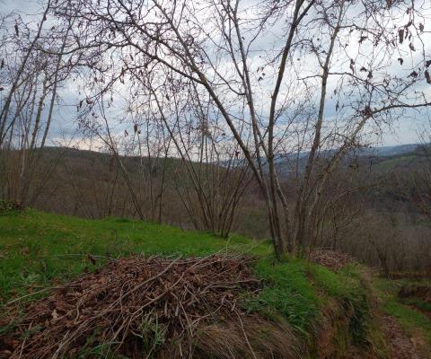 Sakarya Karasu Satılık Tarla — foto 4