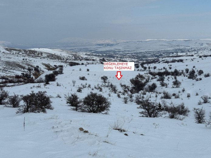 Elazığ Merkez 1957.86 M2 + Tarla — foto 5