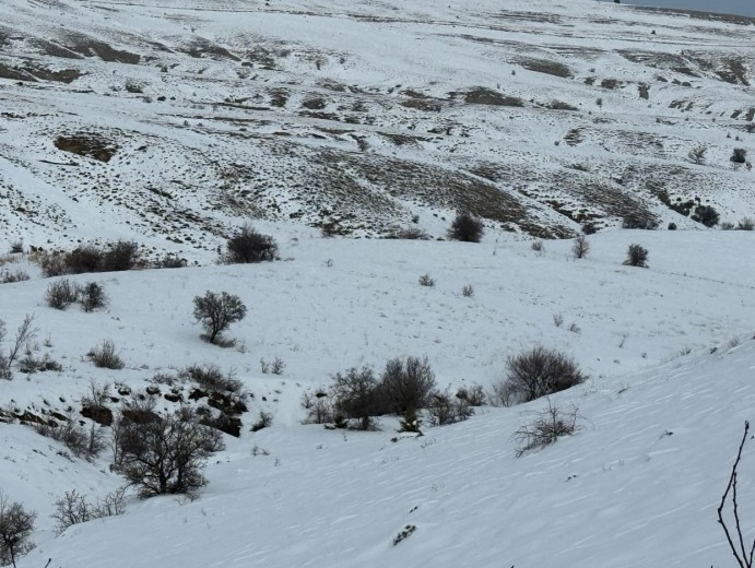 Elazığ Merkez 1957.86 M2 + Tarla — foto 3