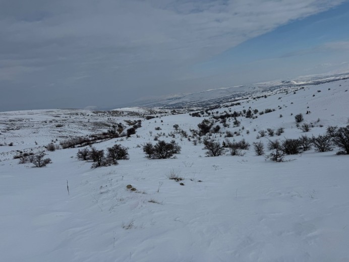 Elazığ Merkez 1957.86 M2 + Tarla — foto 6
