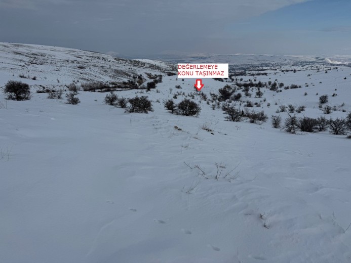 Elazığ Merkez 1957.86 M2 + Tarla — foto 7