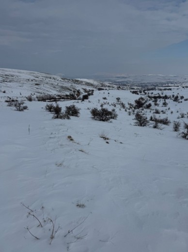 Elazığ Merkez 1957.86 M2 + Tarla — foto 8