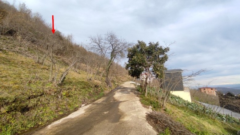 Trabzon Ortahisar 5745.22 M2 + Tarla — foto 3