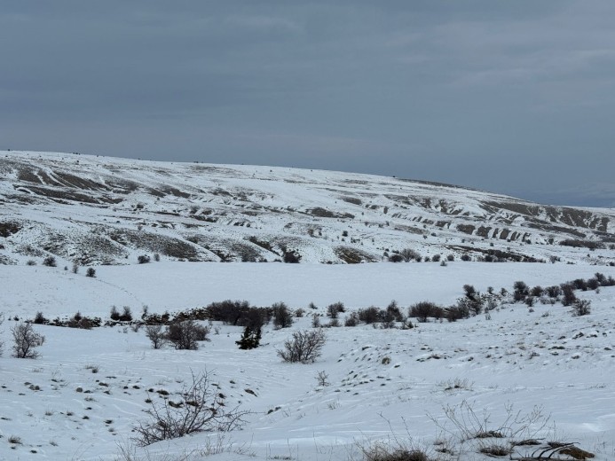 Elazığ Merkez 13600.96 M2 + Tarla — foto 5
