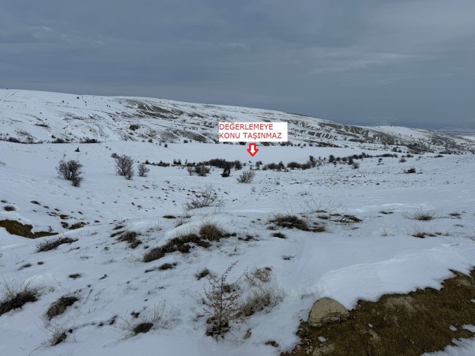 Elazığ Merkez 13600.96 M2 + Tarla — foto 4