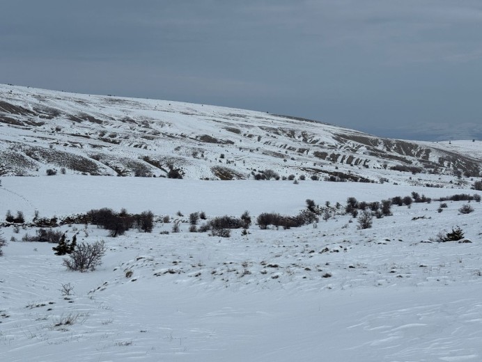 Elazığ Merkez 13600.96 M2 + Tarla — foto 3