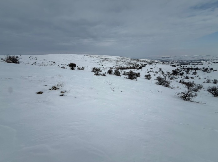 Elazığ Merkez 13600.96 M2 + Tarla — foto 6
