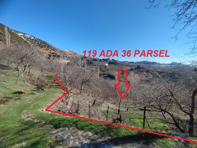 Kahramanmaraş Dulkadiroğlu 3271.32 M2 + Bahçe — foto 2