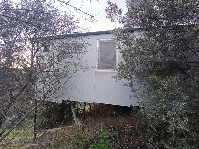 Bursa Mudanya 1314.75 M2 + Zeytinlik — foto 3