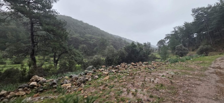 Muğla Ortaca 27403.59 M2 + Tarla — foto 7