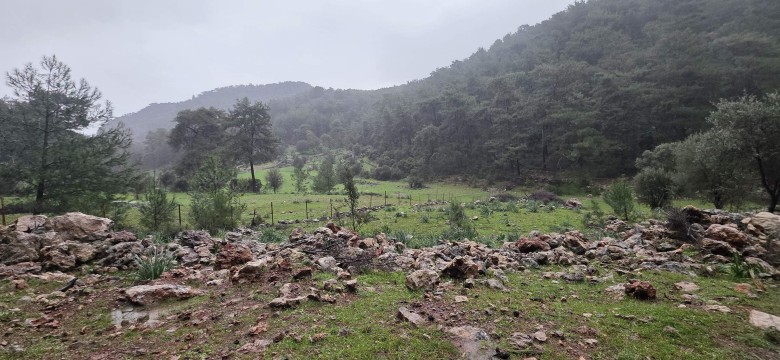 Muğla Ortaca 27403.59 M2 + Tarla — foto 5