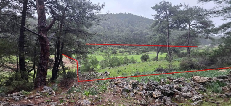 Muğla Ortaca 27403.59 M2 + Tarla — foto 8