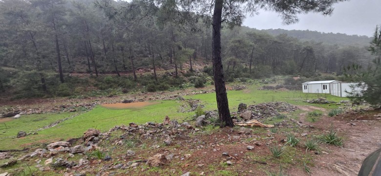 Muğla Ortaca 27403.59 M2 + Tarla — foto 4
