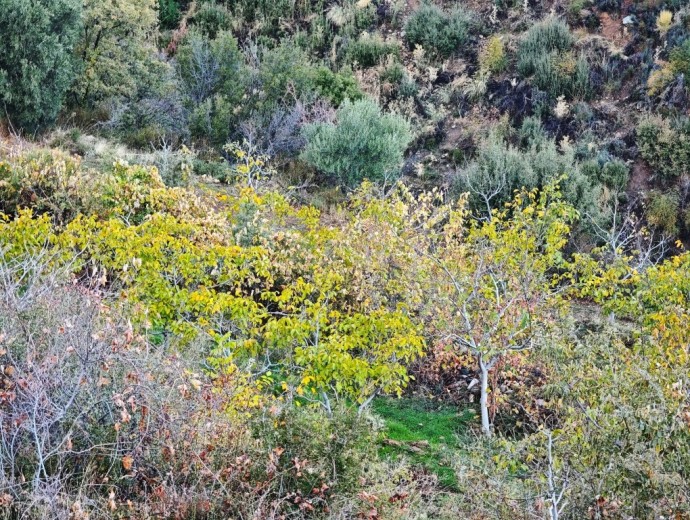 Aydın Karacasu 23525.46 M2 + Bahçe — foto 5