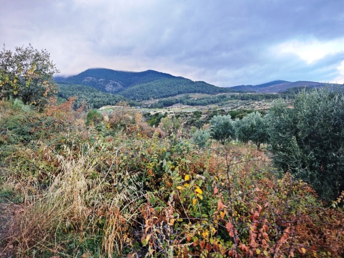 Aydın Karacasu 23525.46 M2 + Bahçe — foto 7