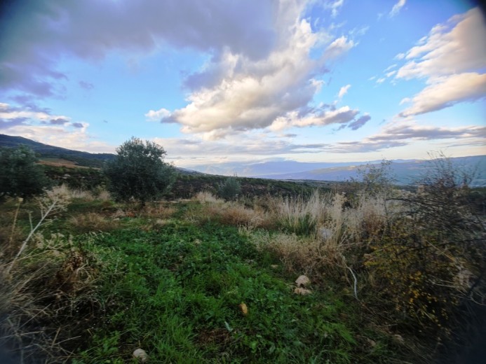 Aydın Karacasu 23525.46 M2 + Bahçe — foto 17
