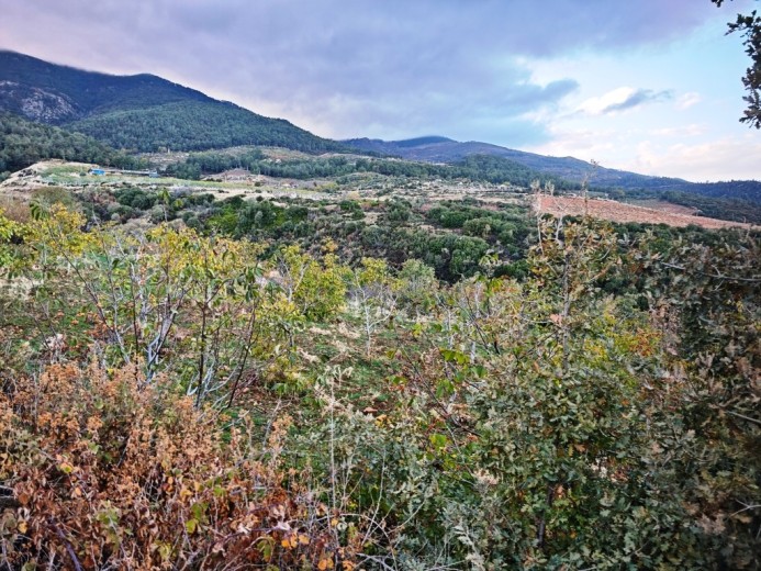 Aydın Karacasu 23525.46 M2 + Bahçe — foto 4