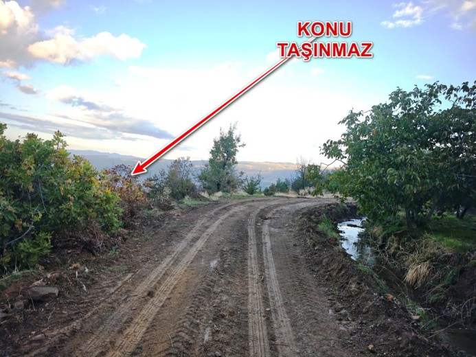 Aydın Karacasu 23525.46 M2 + Bahçe — foto 16