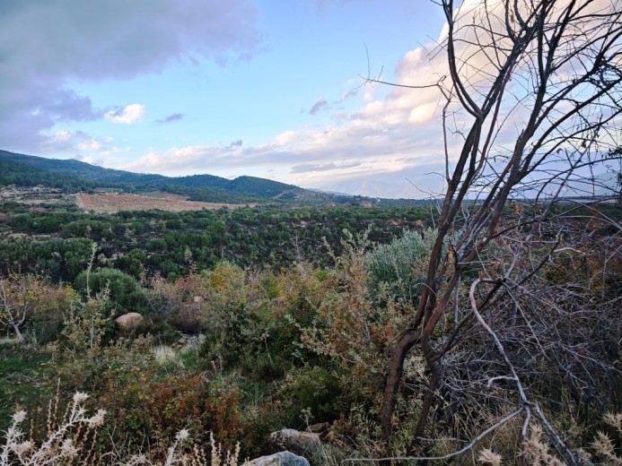 Aydın Karacasu 23525.46 M2 + Bahçe — foto 11