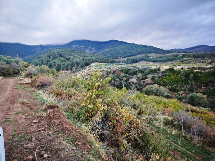Aydın Karacasu 23525.46 M2 + Bahçe — foto 10
