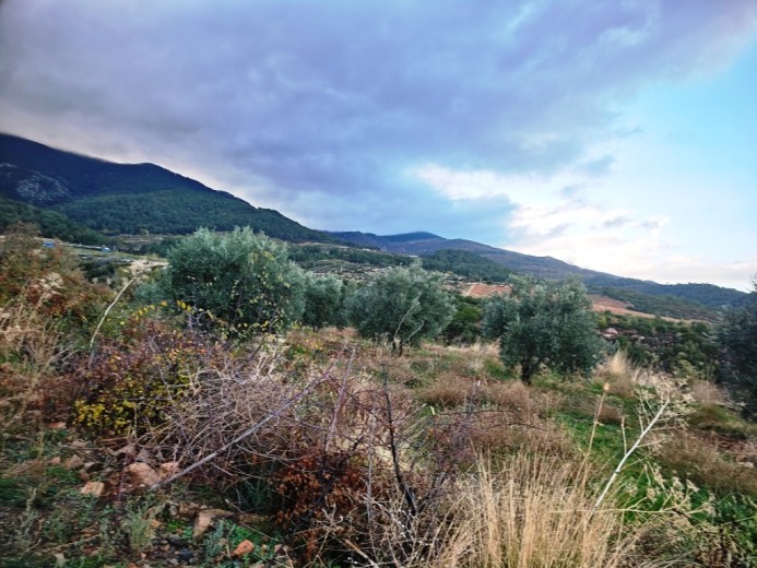 Aydın Karacasu 23525.46 M2 + Bahçe — foto 18