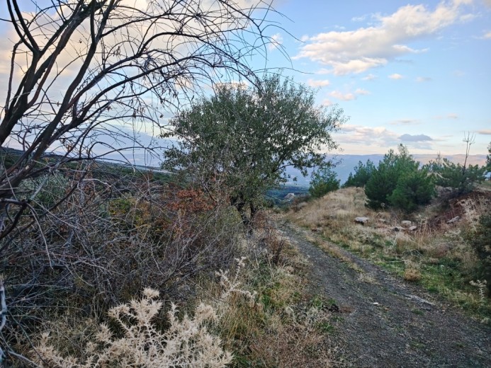Aydın Karacasu 23525.46 M2 + Bahçe — foto 12