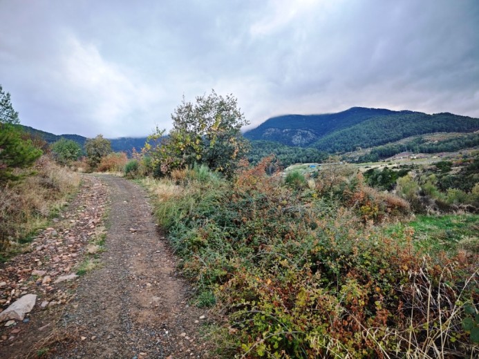 Aydın Karacasu 23525.46 M2 + Bahçe — foto 9