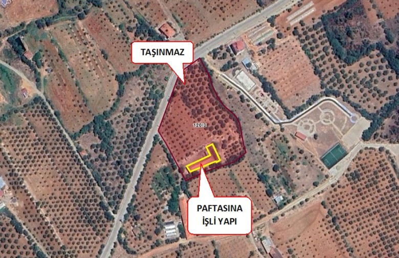 Satılık Kargir Deri İmalathanesi Olan 9759 M2 Elma Bahçesi — foto 11