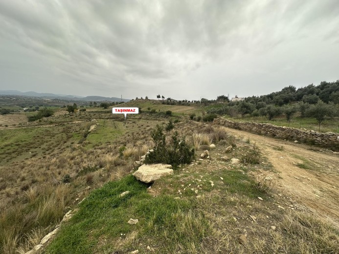 Antalya Manavgat 3929.53 M2 + Tarla — foto 6