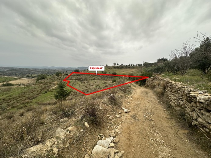 Antalya Manavgat 3929.53 M2 + Tarla — foto 3