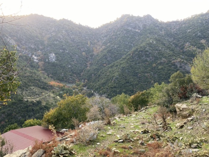 Aydın Efeler 18600 M2 + Tarla — foto 2