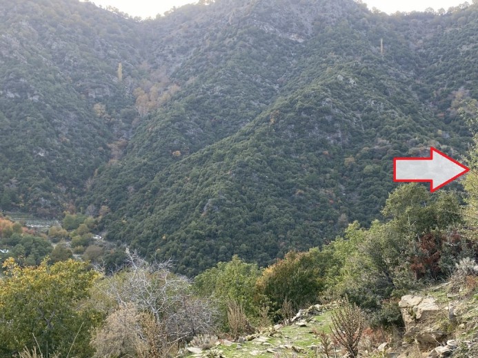 Aydın Efeler 18600 M2 + Tarla — foto 4