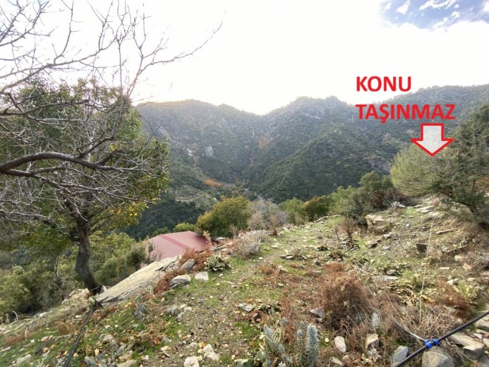 Aydın Efeler 18600 M2 + Tarla — foto 3