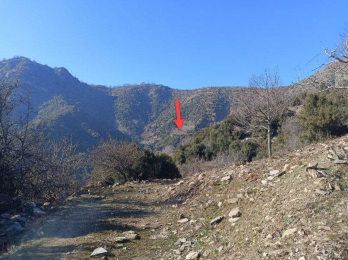 Aydın Efeler 18600 M2 + Tarla — foto 5