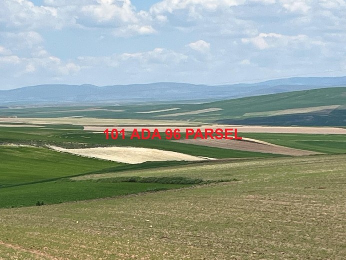 Yozgat Sarıkaya 18957.70 M2 Tarla — foto 3