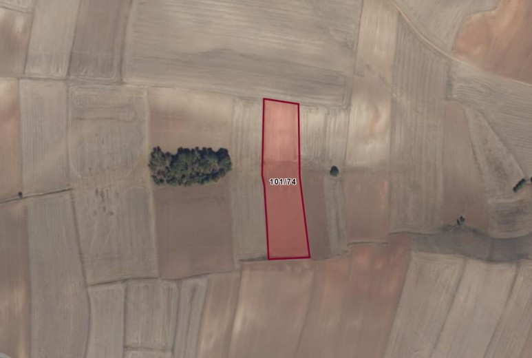 Yozgat Sarıkaya 19091.73 M2 Tarla — foto 7