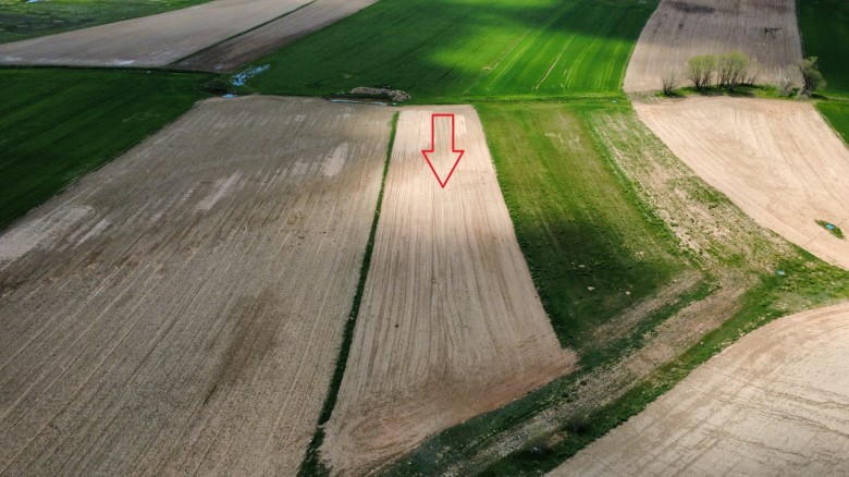 Yozgat Sarıkaya 19091.73 M2 Tarla — foto 3