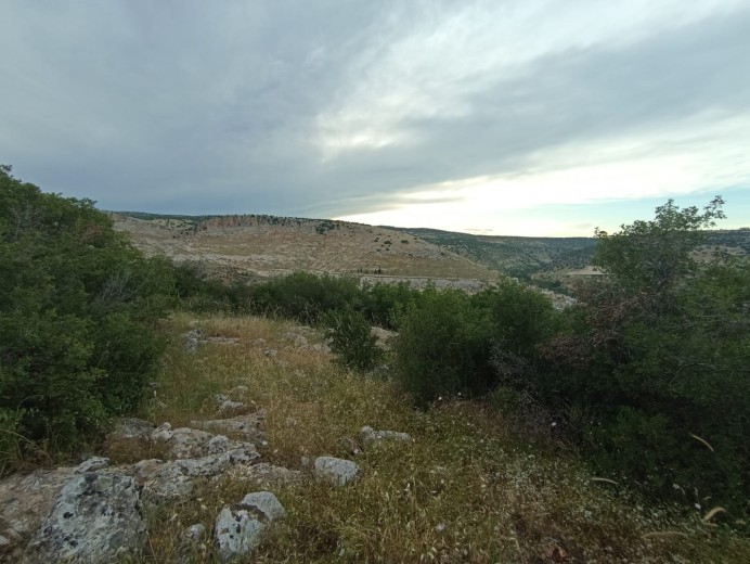 Gaziantep Nizip 43.864,97m2 Bahçe — foto 3