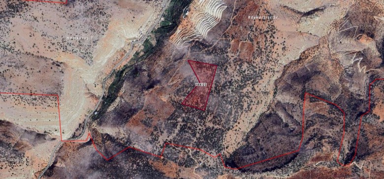 Gaziantep Nizip 43.864,97m2 Bahçe — foto 11