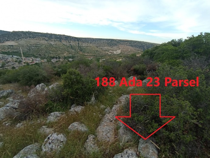 Gaziantep Nizip 43.864,97m2 Bahçe — foto 6