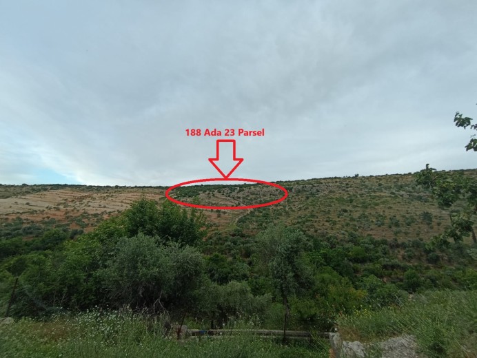 Gaziantep Nizip 43.864,97m2 Bahçe — foto 9