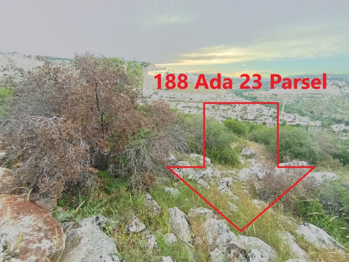 Gaziantep Nizip 43.864,97m2 Bahçe — foto 10