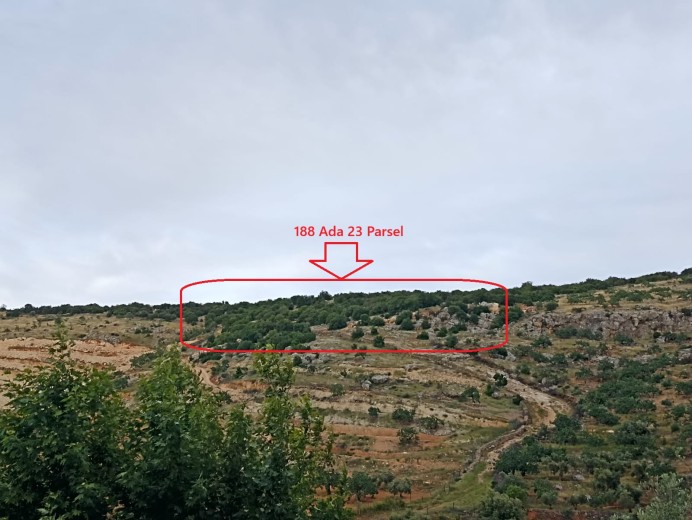 Gaziantep Nizip 43.864,97m2 Bahçe — foto 7