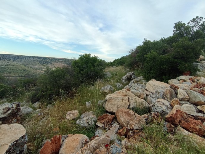 Gaziantep Nizip 43.864,97m2 Bahçe — foto 2