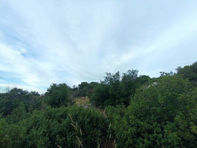 Gaziantep Nizip 43.864,97m2 Bahçe — foto 4