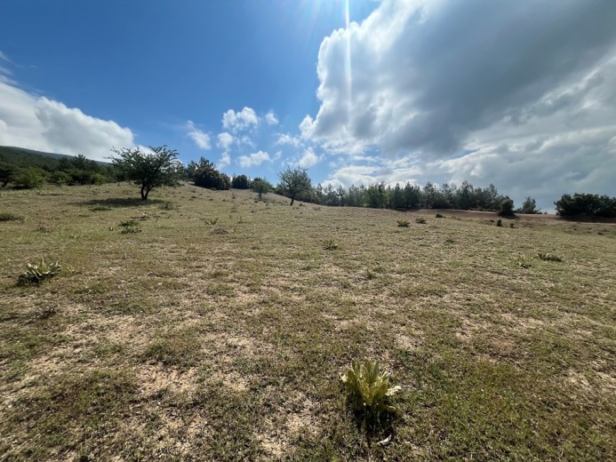 Denizli Serinhisar Satılık 8.230 M2 Arsa — foto 4