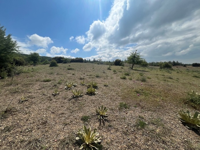 Denizli Serinhisar Satılık 8.230 M2 Arsa — foto 3