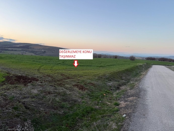 Elazığ Merkez 8593 M2 + Tarla — foto 4