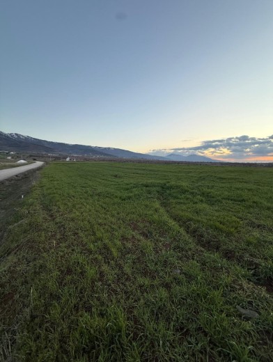Elazığ Merkez 8593 M2 + Tarla — foto 5